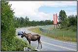 Anchorage bike trail