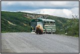 Denali Park