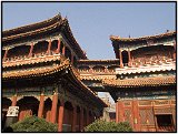 The Lama Temple