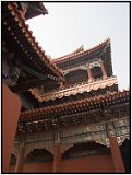 The Lama Temple