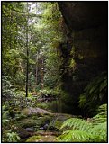 The Blue Mountains of Australia