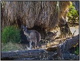 Deep Creek, Australia