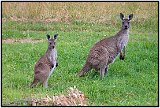 Deep Creek, Australia