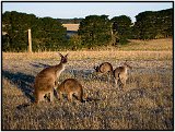 Deep Creek, Australia