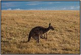 Deep Creek, Australia