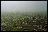 Golan Heights, Israel