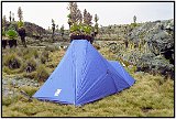 On Mount Kenya (2000)