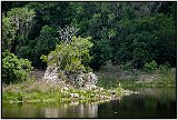 paynes prairie 68