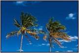 Hollywood Beach