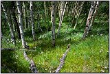 The Rocky Mountains, Colorado, 1999