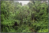 Costa Rica 2001