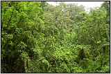 Costa Rica 2001