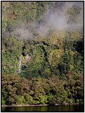 Doubtful Sound, New Zealand (it is really a fjord!) 2006