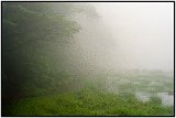 On top of Maderas Volcano, Ometepe, Nicaragua 2001