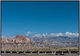 mendoza2014 026