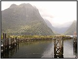 Milford Sound