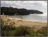 Stewart Island