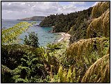 Stewart Island