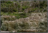 On the Beagle Channel