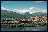 On the Beagle Channel