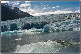 Laguna San Rafael, Chile