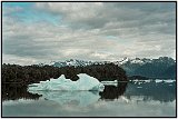 Laguna San Rafael, Chile