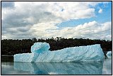 Laguna San Rafael, Chile