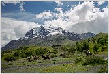 Parque Nacional Torres del Paine, Chile