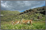 Parque Nacional Torres del Paine, Chile