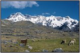 Hiking near Mount Ausangate