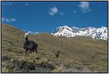 Hiking near Mount Ausangate