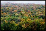 Catskills, NY, Fall 2010