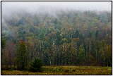 Catskills, NY, Fall 2010