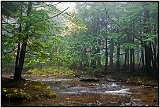 Catskills, NY, Fall 2010