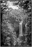 Lechtworth State Park, Finger Lakes, NY, 20XX