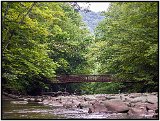 Monongahela Forest, W. Virginia, 2009