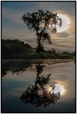 Tahquamenon River, Upper Peninsula, MI 2011