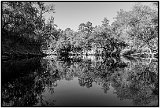 The Suwannee River