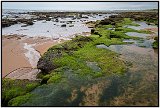 Firth Coastal Path