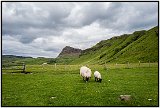 Talisker Bay, Isle of Skye