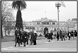 Mothers of the Plaza de Mayo