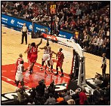 Chicago Bulls 2008