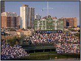 Wrigley Field 2008