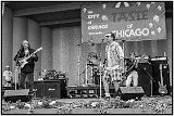 John Hiatt, the Headliner, comes out early to help out his old bandmate, Sonny Landreth at the Taste of Chicago.