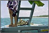 Snorkeling at Watamu