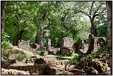 The Gedi ruins