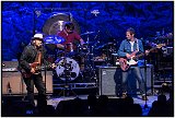 wilco2015 28