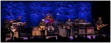 wilco2015 42