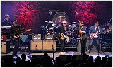 wilco2015 52