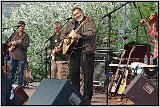 David Bromberg  1